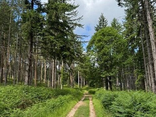 Image for Location 2743