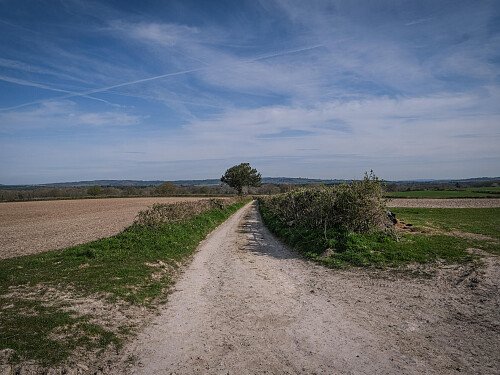 Image for Location 2743