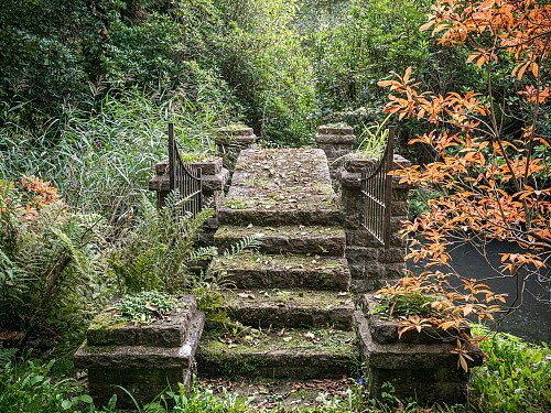 Location Creation:Lake House:Lake steps