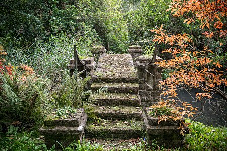 Location Creation:Lake House:Lake steps