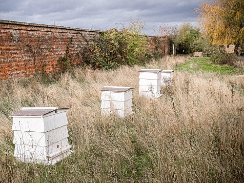 Location Creation: The Walled Garden:Bee hives