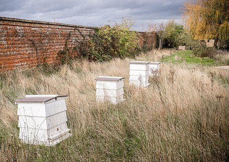 Location Creation: The Walled Garden:Bee hives