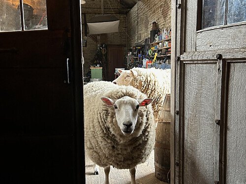 Barn interior from the bar