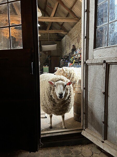 Barn interior from the bar