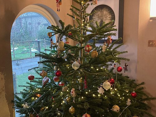 Christmas tree in hallway