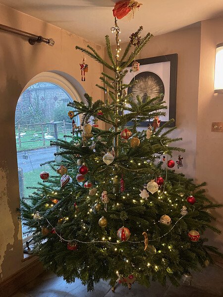 Christmas tree in hallway