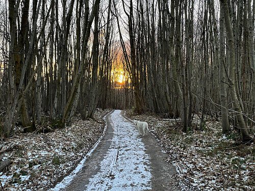 Image for Location 2788