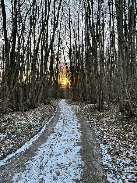 Drive at sunset in snow