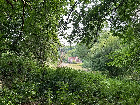 House from the garden wall