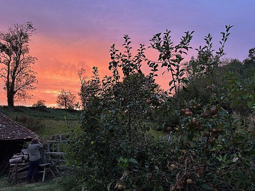 Sunset from the garden
