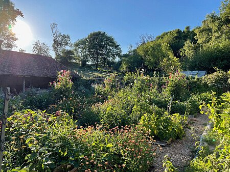 Walled Garden planted