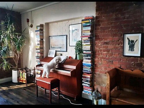 Screenshot_20231003_165202_Airbnb