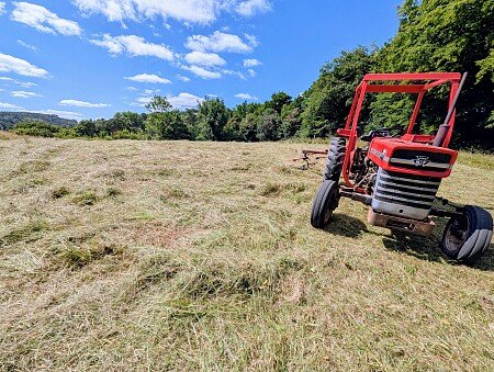 184a6854-2ac8-47b3-853c-aba6f7e4d6d0~1