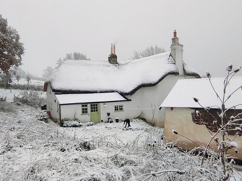 Image for Location 2822