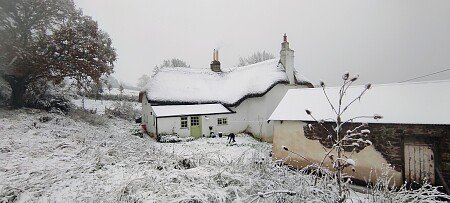 IMG_20241121_085410~2