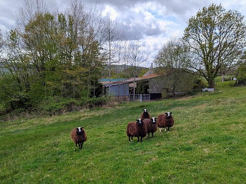 Image for Location 2822