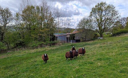 PXL_20250422_140940062~2