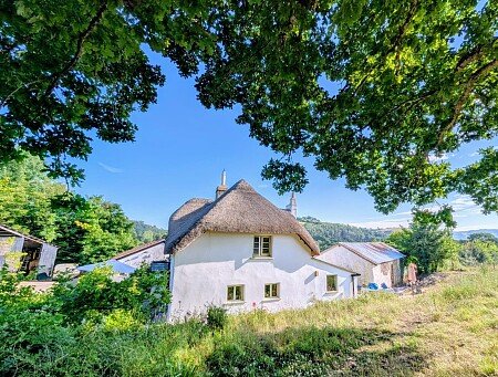 WhatsApp Image 2025-06-30 at 18.54.17