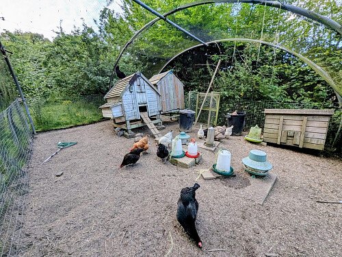 Image for Location 2822