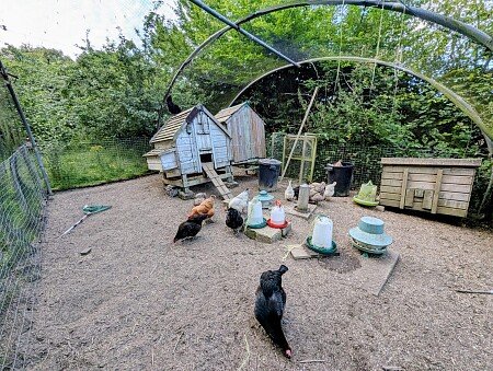 WhatsApp Image 2025-06-30 at 20.06.16