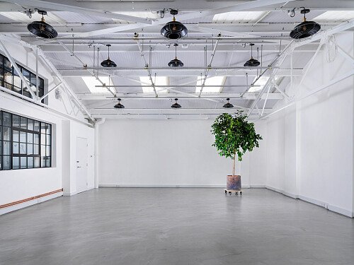 Image for Location 1891