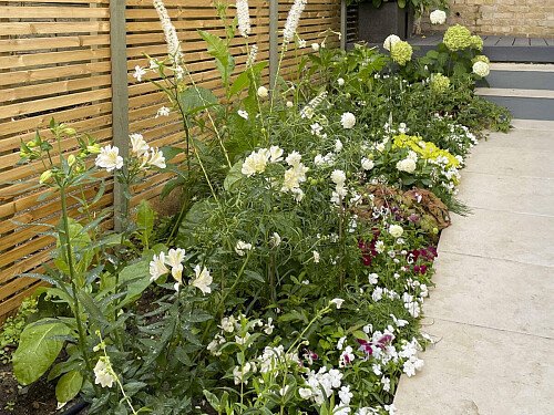 RFP-REYNOLDS-WAY-LOWRES-025