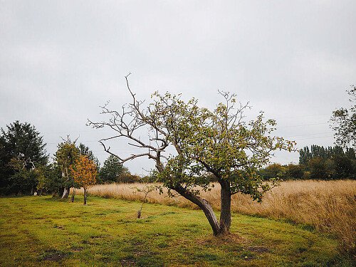 Socialmediafiles-122 copy