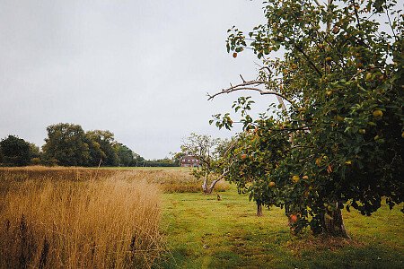 Socialmediafiles-127 copy