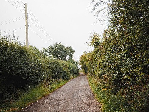 Socialmediafiles-159 copy