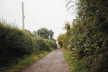 Socialmediafiles-159 copy