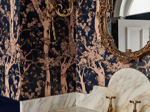 downstairs loo  inside sink x