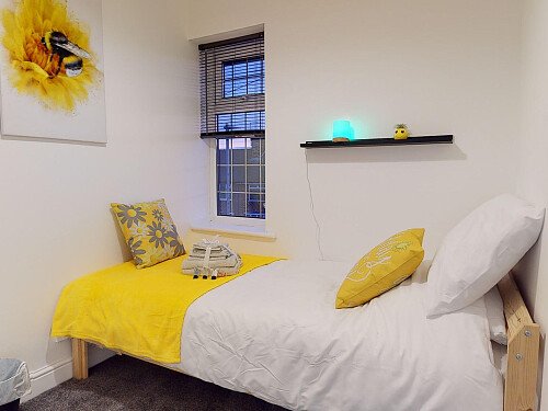 Redwood-03062023_173012