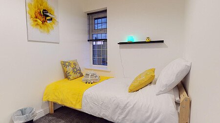 Redwood-03062023_173012