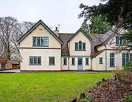 DSC08978-DeNoiseAI-clear