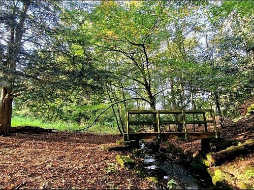 288546-a1697273122859