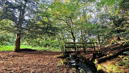 288546-a1697273122859