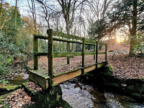 288546-a1677172178188