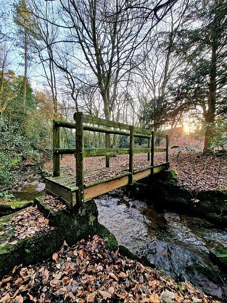 288546-a1677172178188