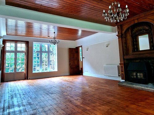 288546-a1695718485042