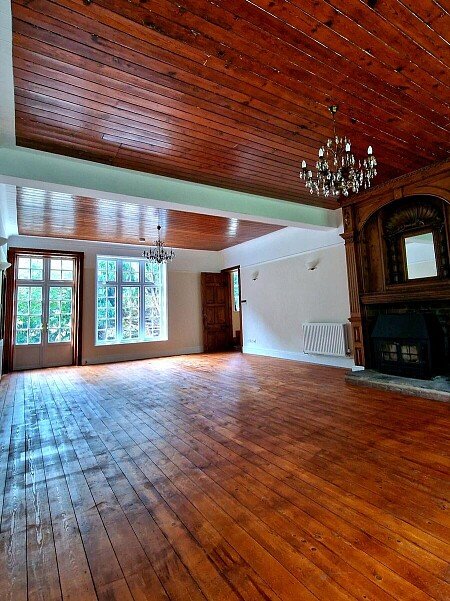 288546-a1695718485042