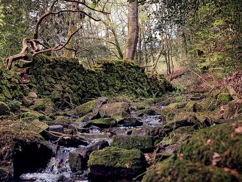 Basford Stream LOW res edit 1