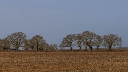0745-1537