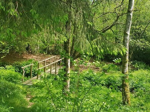 bridge over stream
