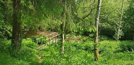 bridge over stream