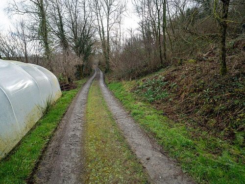 track into property