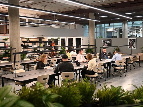 Coworking (looking back across the space)