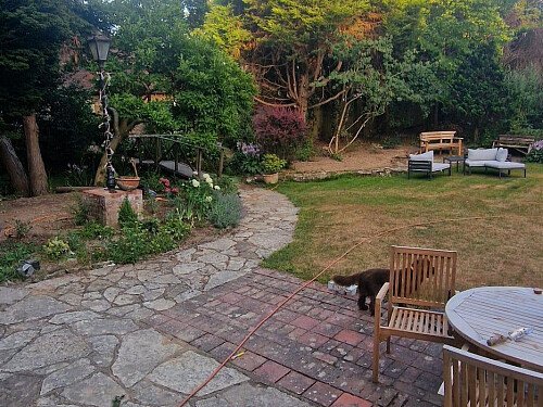 Garden 1