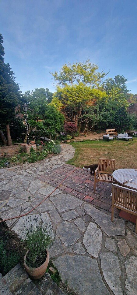 Garden 1