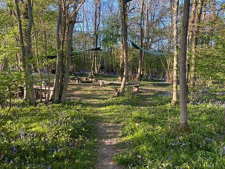 little elses wood 1