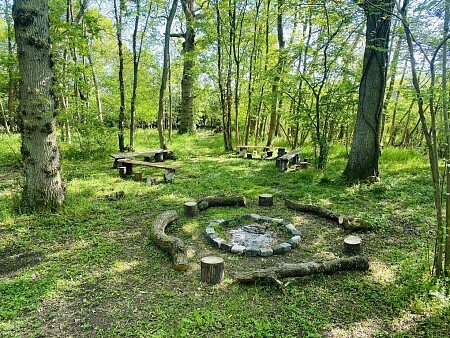little elses wood 4
